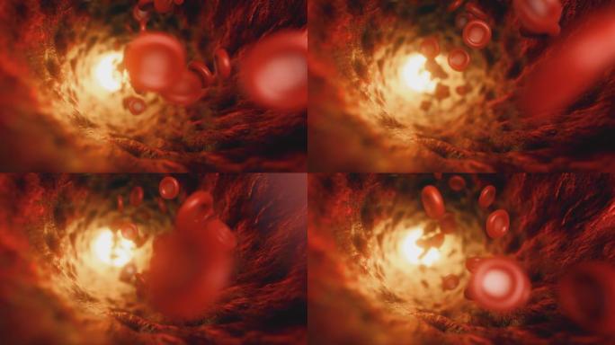 红细胞穿过血管。无缝循环3d渲染