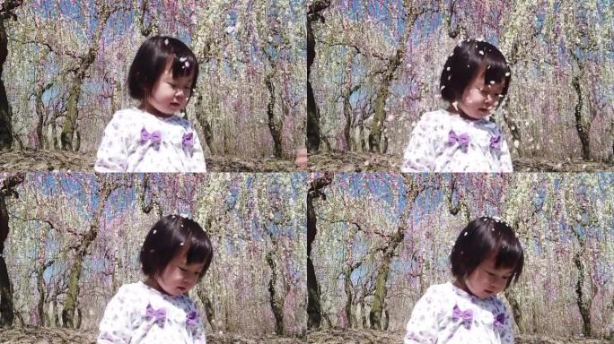 日本梅花树公园的慢动作花瓣落在年轻女孩身上