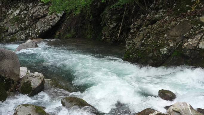 原始森林清澈溪涧流水