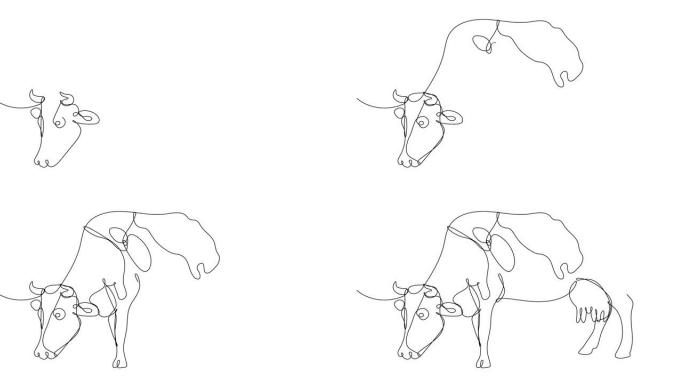 牛连续线条画的自画动画。
