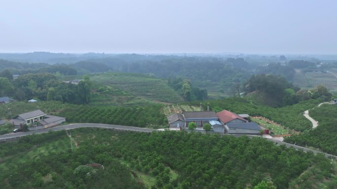 蒲江县乡村