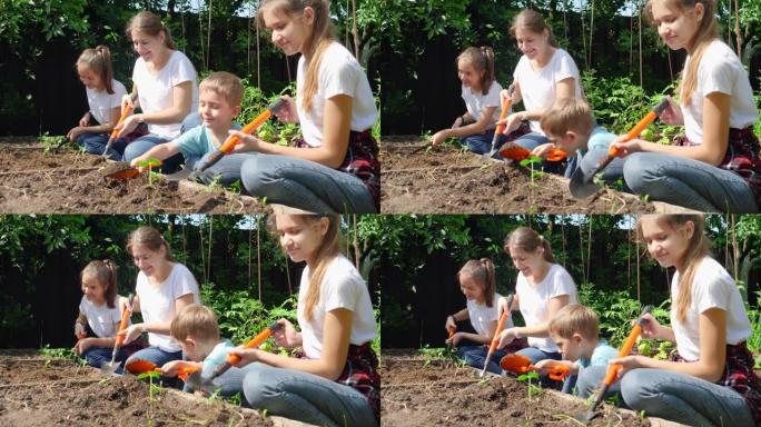 幸福的微笑家庭，孩子们用铁锹挖地，在房子后院的花园床上种菜