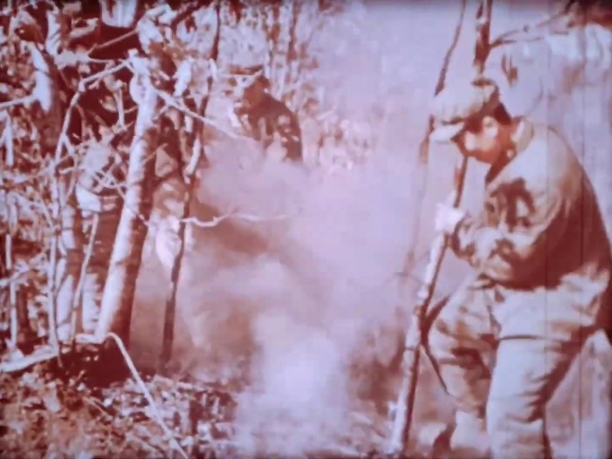 森林火灾  救火  60年代 70年代