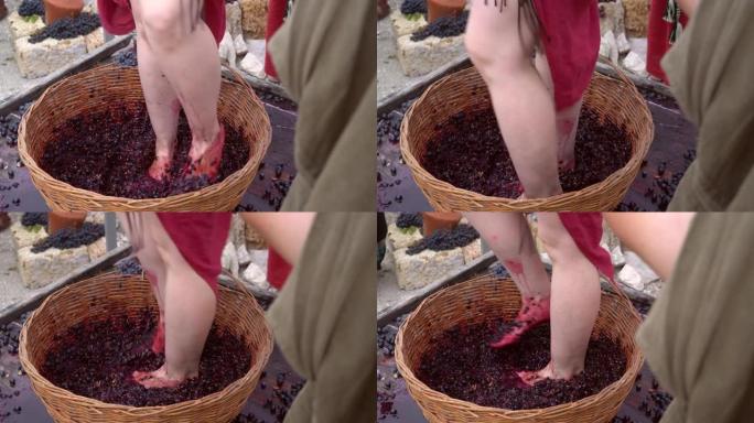 传统酿酒中的葡萄踩踏或葡萄踩踏。葡萄被践踏在篮子里
