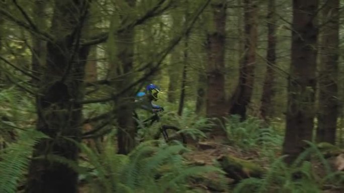 山地自行车骑手在郁郁葱葱的绿色森林中进行充电和跳跃
