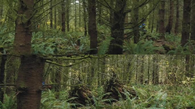 山地自行车骑手在郁郁葱葱的绿色森林中进行充电和跳跃