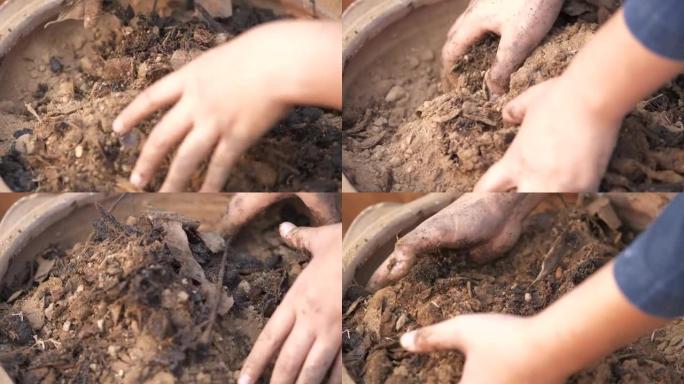 将堆肥与沙壤土混合。农业和土壤