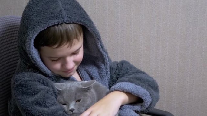 十几岁的男孩穿着浴袍坐在椅子上拥抱，抚摸着一只灰色的英国猫