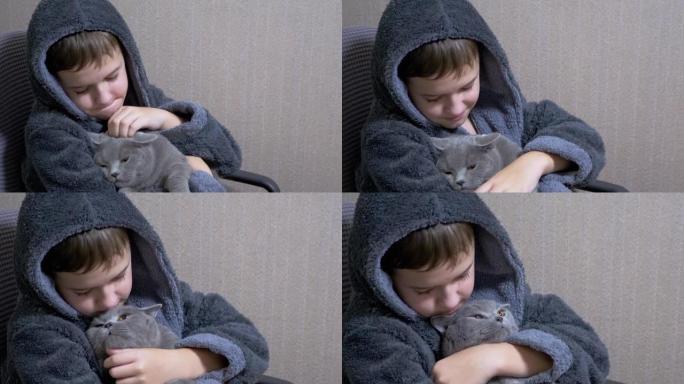 十几岁的男孩穿着浴袍坐在椅子上拥抱，抚摸着一只灰色的英国猫