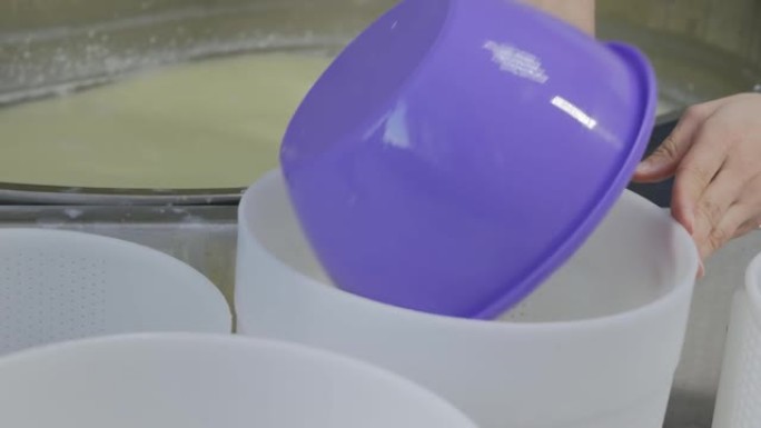 奶酪工厂的工人开始将凝乳从罐中sc入塑料滤池中，以进一步压榨和排干乳清。硬质奶酪生产技术