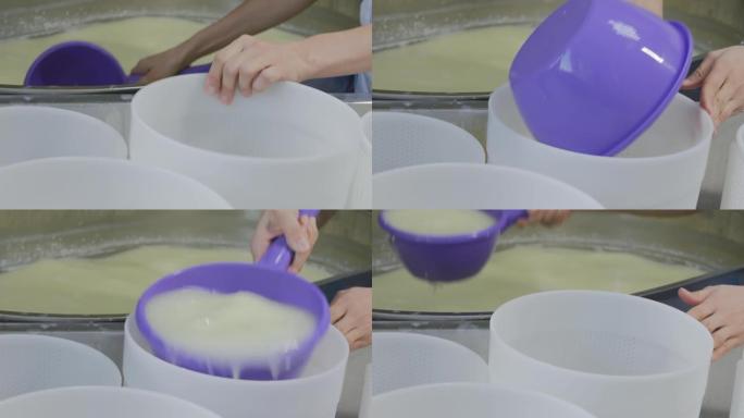 奶酪工厂的工人开始将凝乳从罐中sc入塑料滤池中，以进一步压榨和排干乳清。硬质奶酪生产技术