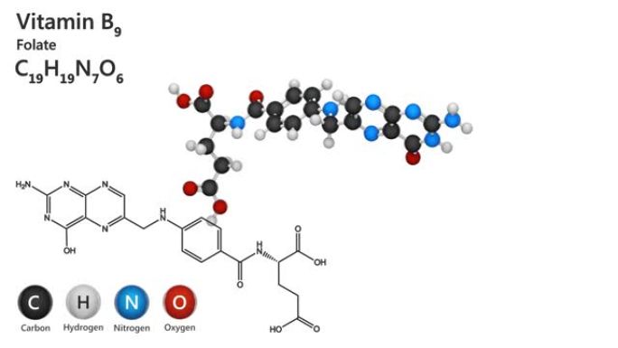 维生素B9 (叶酸)。无缝循环。