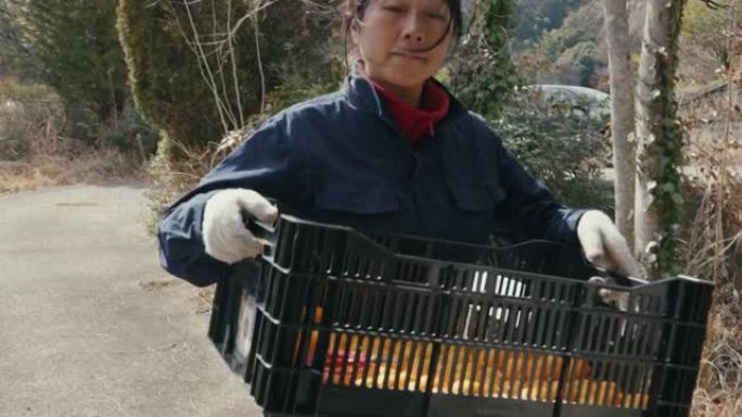 SLO MO MS-成熟的日本农民携带一篮子水果