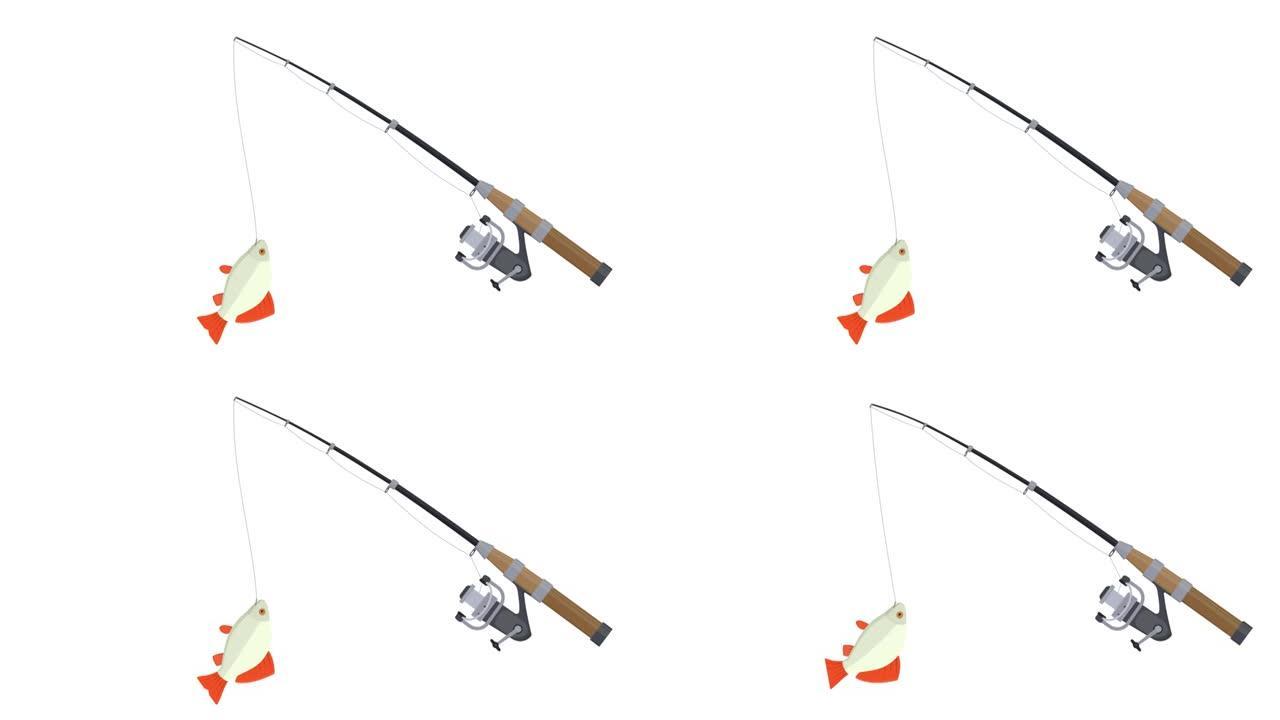 钓鱼。鱼竿上捕获的鱼的动画。卡通