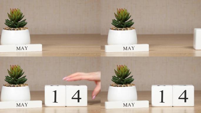 日历上的重要日期或事件是5月14日的。女性手用数字移动立方体。