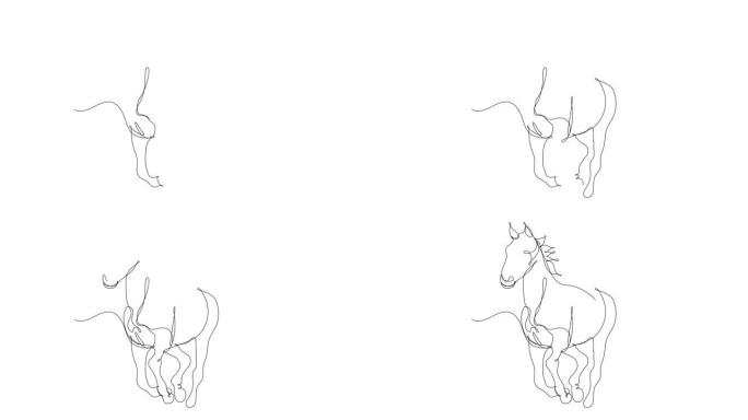 跑马连续线描自画动画。