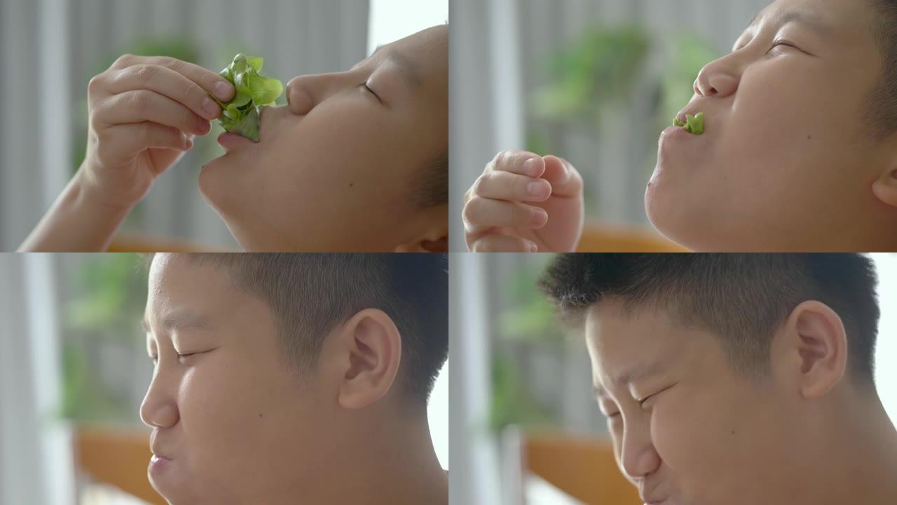 快乐的亚洲男孩在家吃奶油酱水培沙拉卷，健康的生活方式理念。