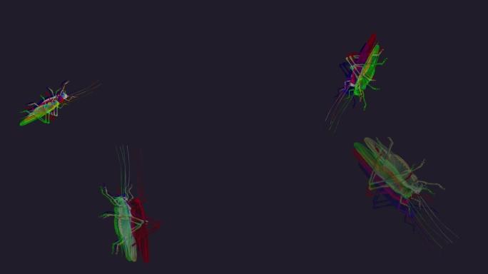 描绘3D grasshopper anaglyph的高分辨率视频，该视频是通过分离颜色并使用滤镜制作