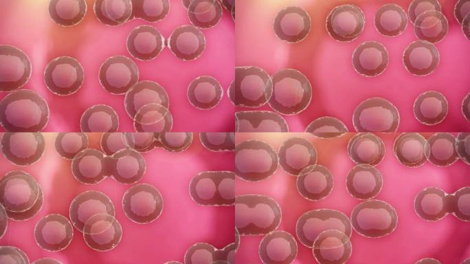 细胞粉红色2