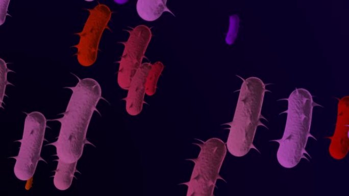 4k显微细菌医学背景-循环，可循环细菌-漂浮大肠杆菌细菌-细菌的3D动画。螺旋细菌特写-多种颜色