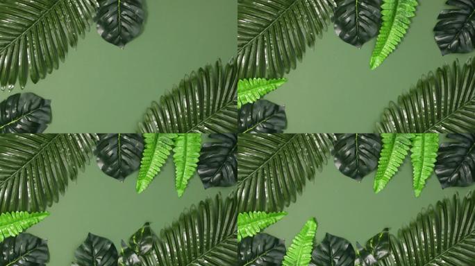 热带框架由深绿色背景上的绿色丛林叶子制成。停止运动平铺