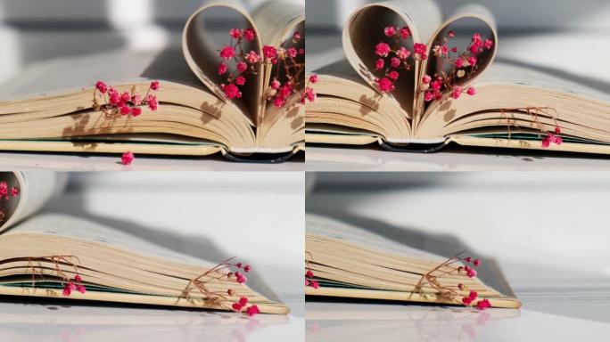 书页折叠成一颗心和粉红色的花朵。柔和的焦点，故意的轻微模糊。精致的粉红色满天星花。慢生活概念。与自然