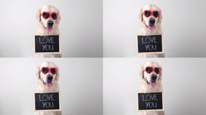 一只戴着红色眼镜的狗拿着一个黑色的牌子，上面写着爱的宣言。情人节、婚礼、生日的金毛猎犬。