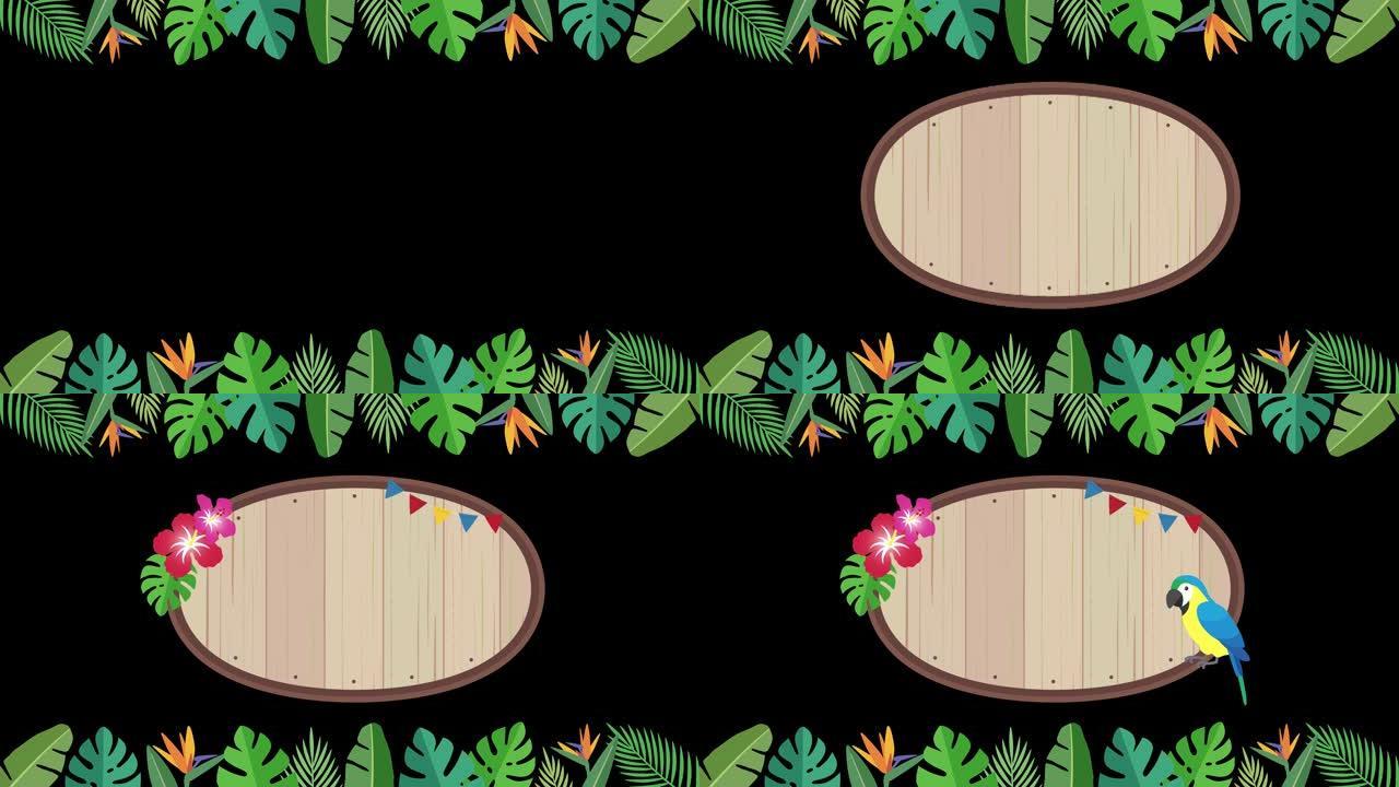 热带、丛林、夏季影像开场动画 (背景透明、阿尔法频道)