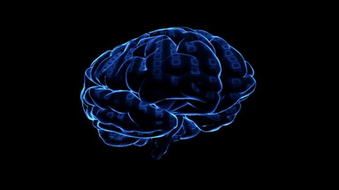 抽象技术背景与大脑