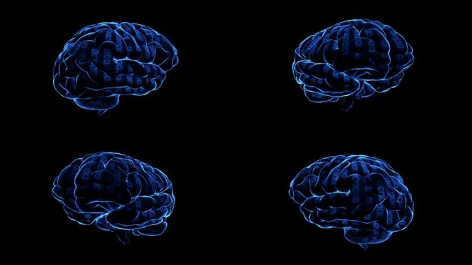 抽象技术背景与大脑