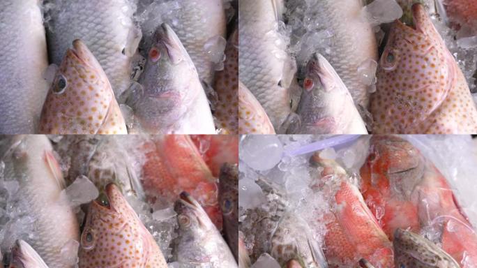 许多类型的生鲜鱼-生新鲜海鲜，4k镜头。