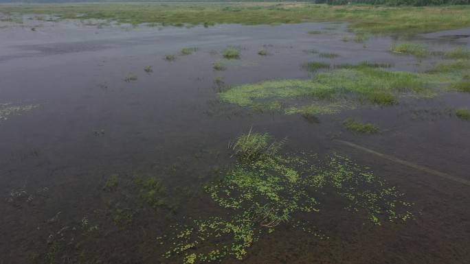 白庄子生态湿地保护区7