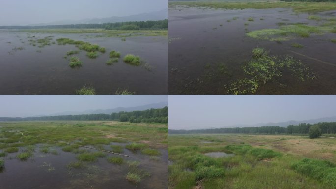 白庄子生态湿地保护区7