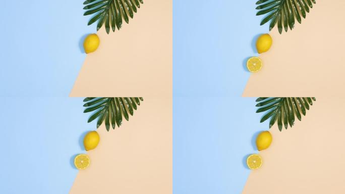 热带棕榈叶和切成薄片的柠檬出现在蓝色和沙质背景上。夏季概念停止运动平躺