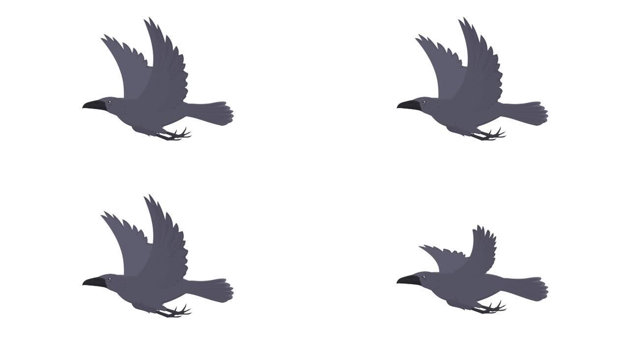 乌鸦。乌鸦鸟的动画。卡通