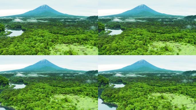 富士山 & 青木原久海