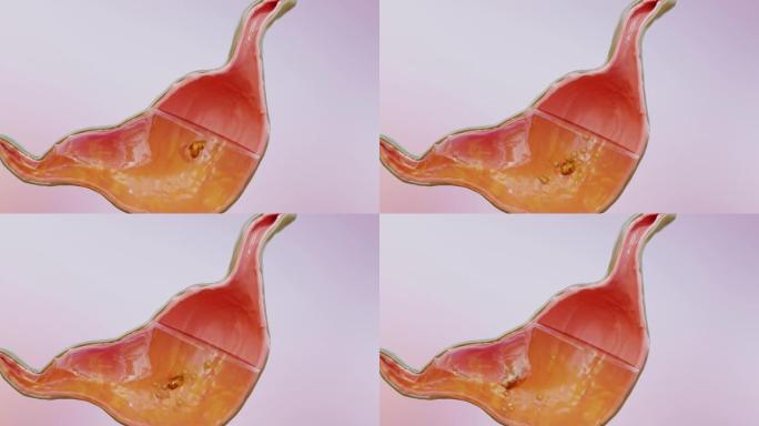 人体胃解剖吞咽和消化，3D reander
