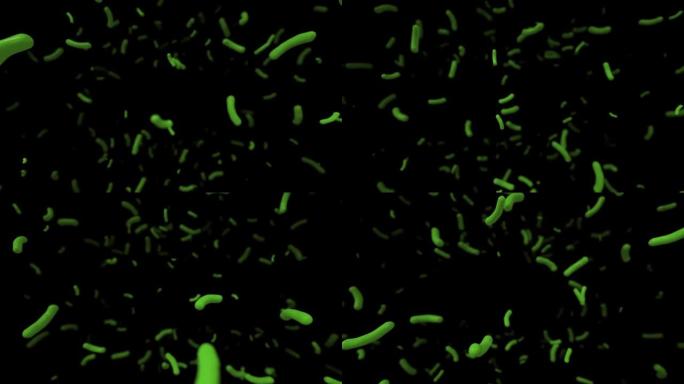 细菌细胞动画4k循环