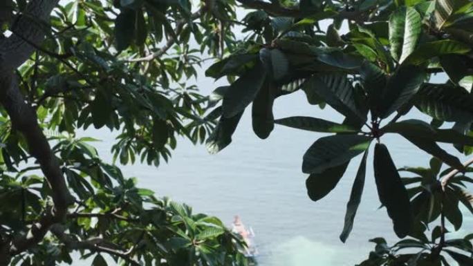 从露台上可以看到热带绿树和树叶的俯视图，从热带岛屿海湾的露台上可以看到热带海滩的景色。