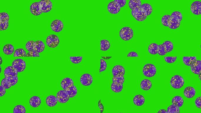 白细胞流动，中性粒细胞，绿屏嗜铬