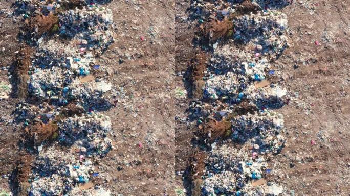一群鸟飞过一大堆家庭垃圾。环境退化的概念。土地的污染和自然资源的枯竭。