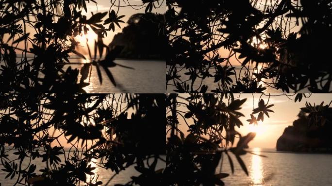 夏季岛屿日落时分，前景中有太阳耀斑和海浪的树的轮廓