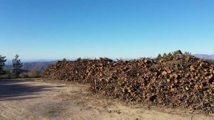 基安蒂森林中切碎的木材无人机
