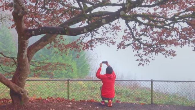 用智能手机录制秋季场景视频的高级男子的平移镜头