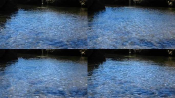 三浦市的自然风光