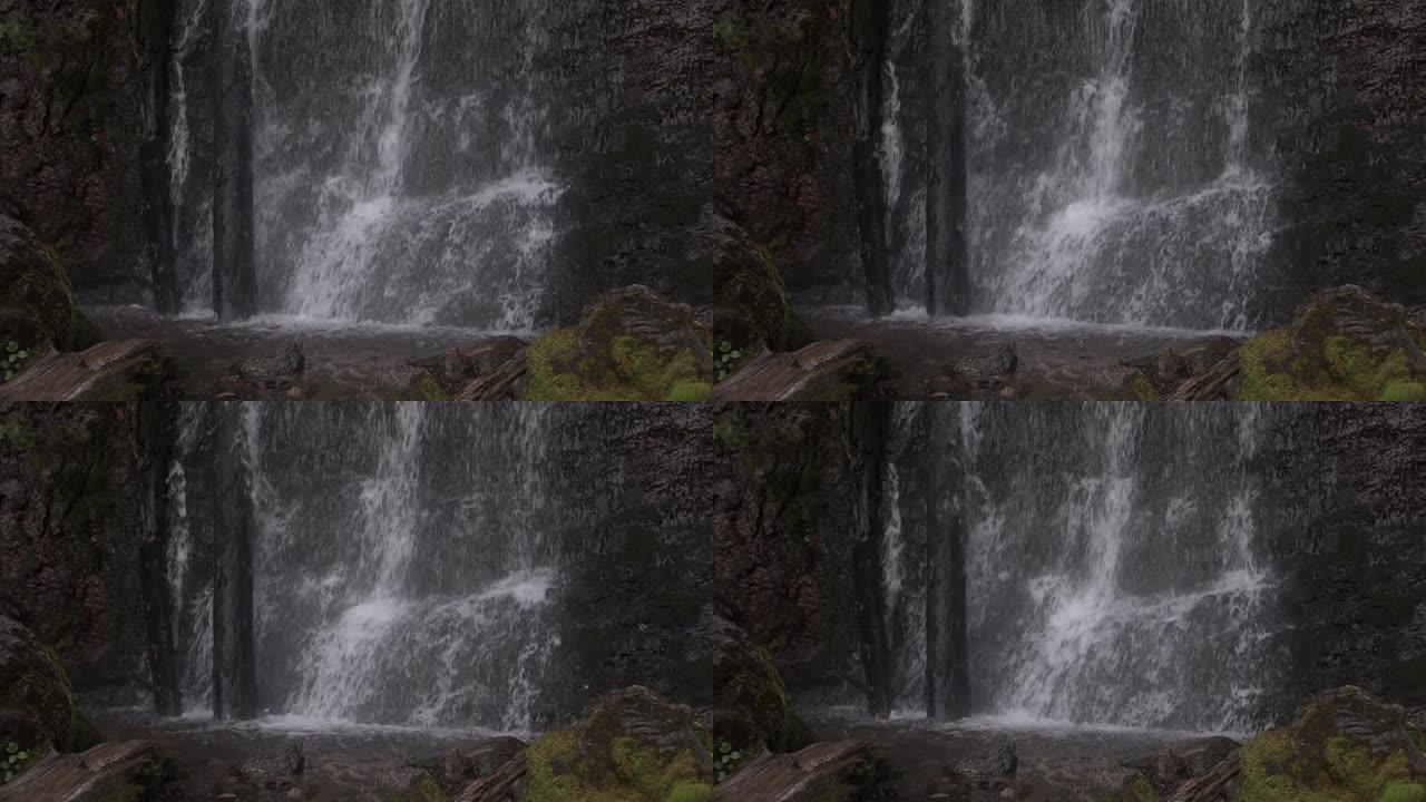 水流从长满苔藓的墙壁上流下。瀑布分为喷雾流和发泡流。老湿树靠在潮湿的悬崖上