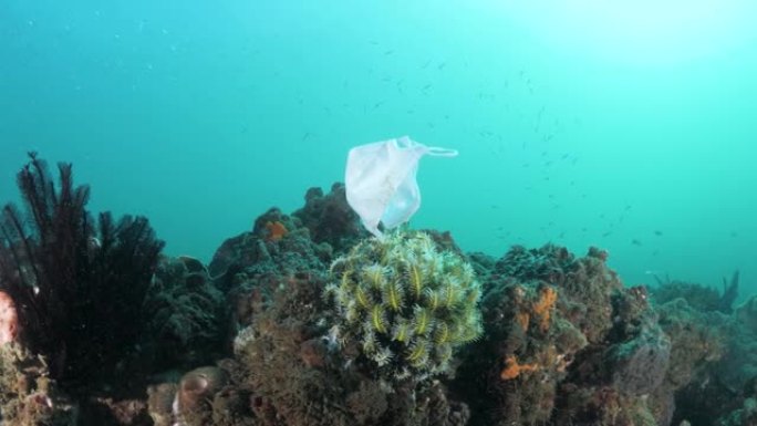 从日冕病毒大流行垃圾在珊瑚礁上丢弃的医用口罩