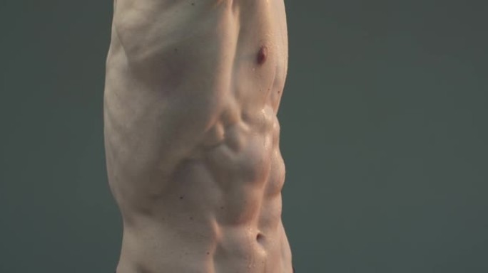 肌肉和性感的年轻人躯干与完美的腹肌。男性腹部肌肉。运动营养宣传片