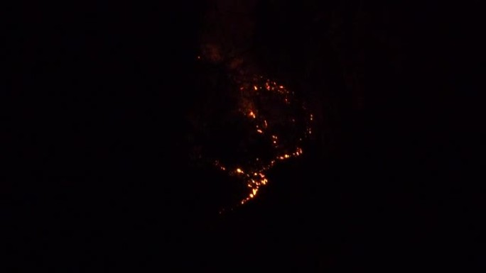 夜间森林大火。野火后烧毁了树木，