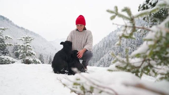4k女人在森林山外雪中与两只黑狗玩耍